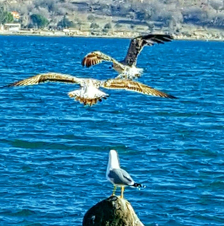 deniz ve huzur