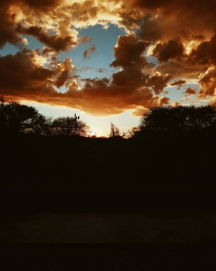 campo atardecer