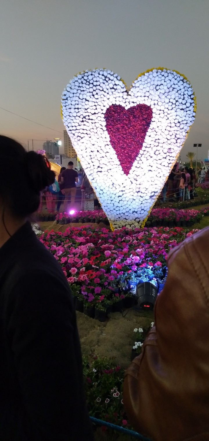 flower ?