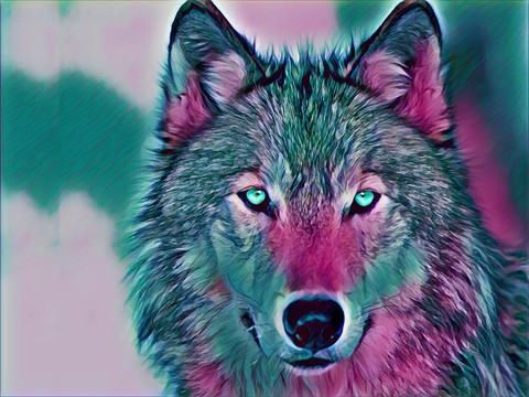 Wolf