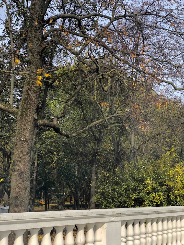 fall in Minsk