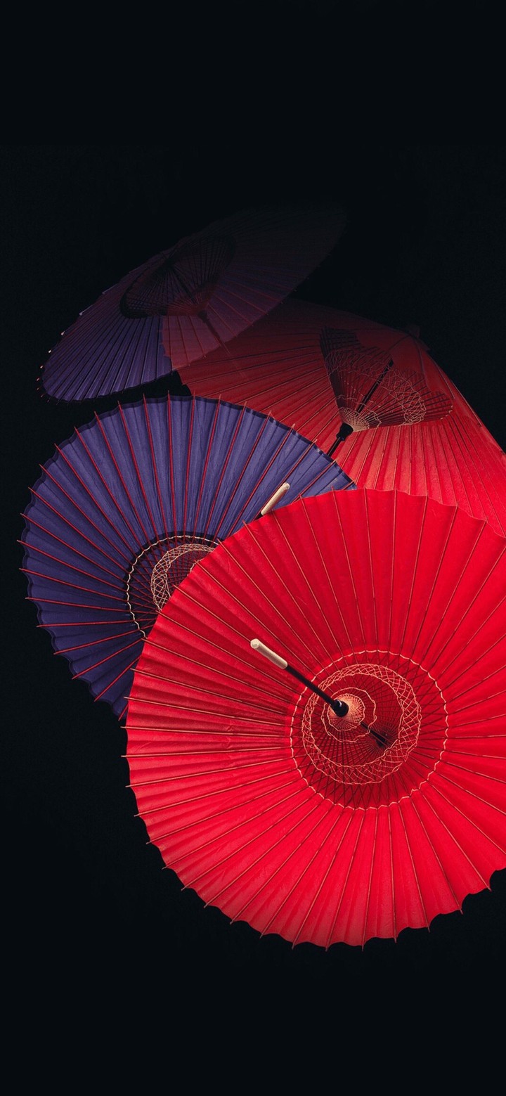Umbrellas In Darkness