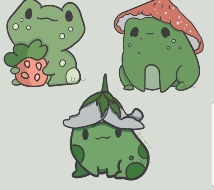 ♡Group of the nature frogs!♡