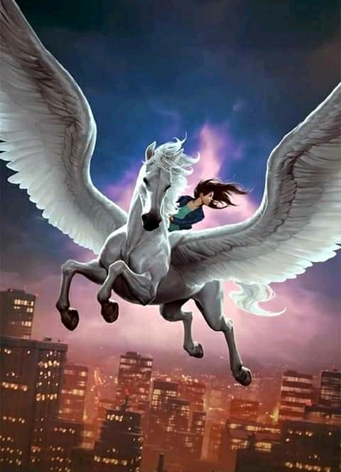 flying high