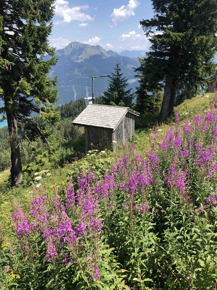 sankt gilgen, Austria