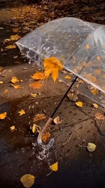 Regen im Herbst