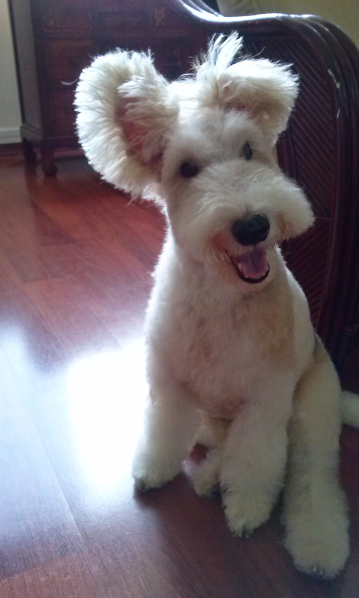 ❤ Teddy ❤
