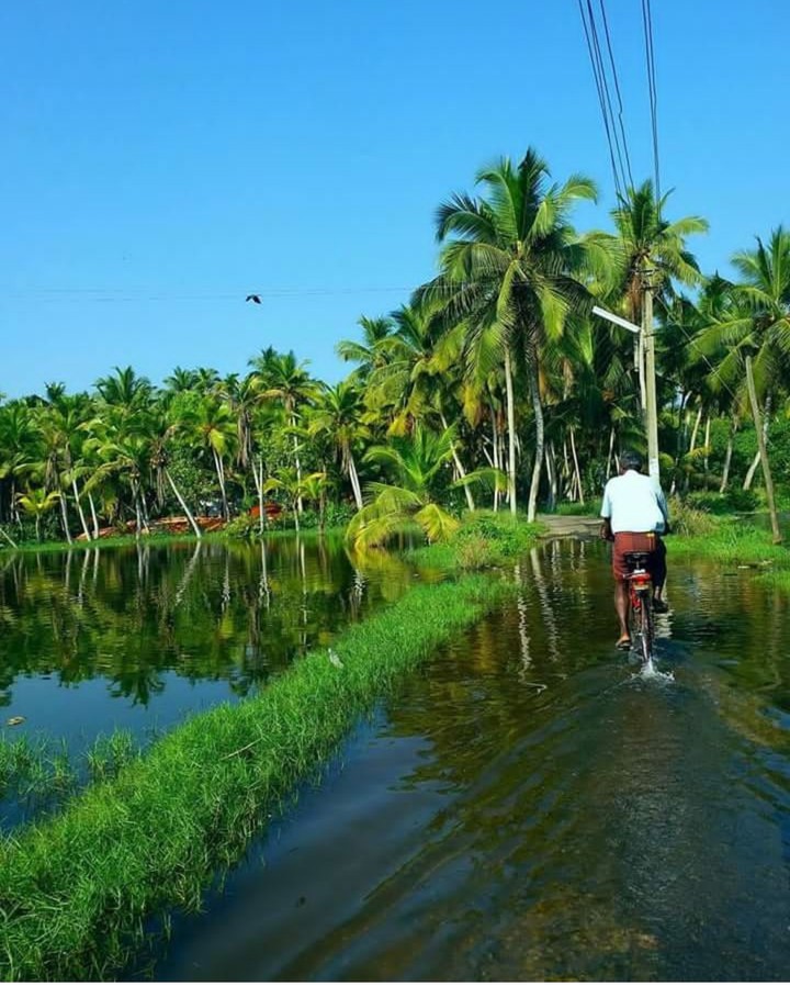 my j7 max click