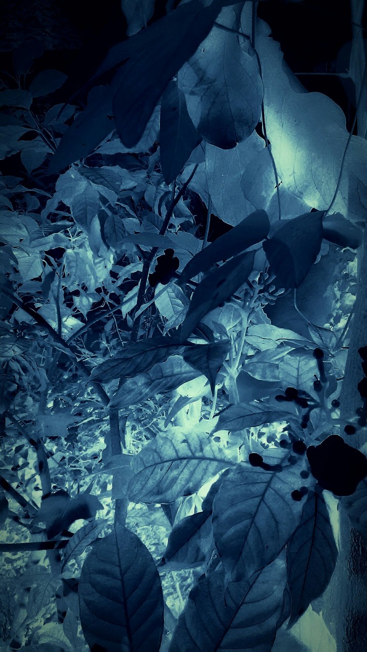 darkness