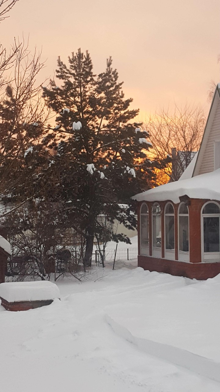 Winter