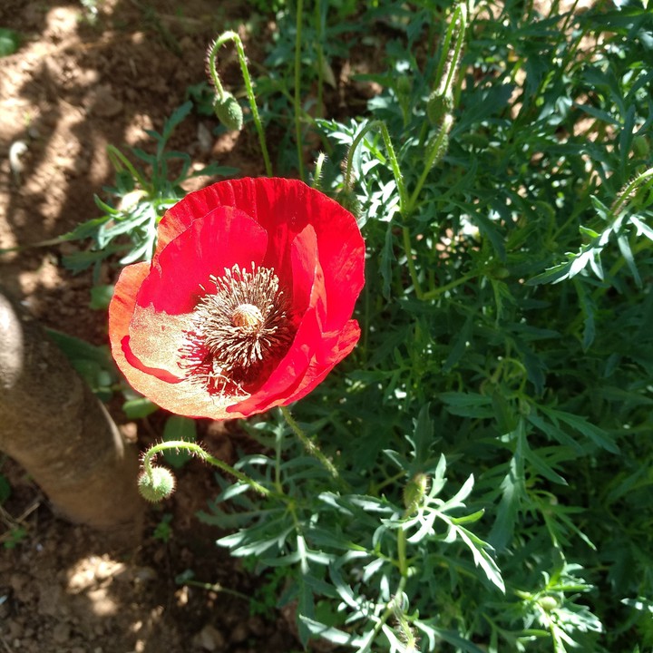 Nature