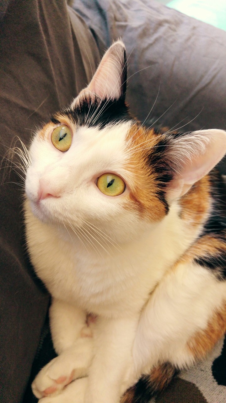 Sally