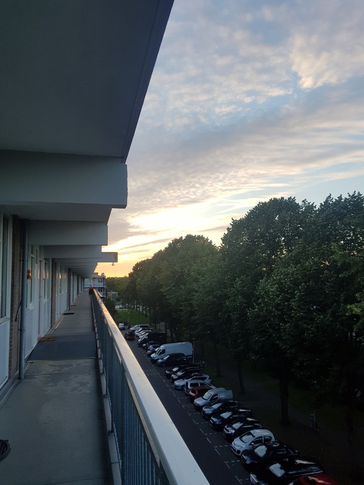 look at the sky and seeee