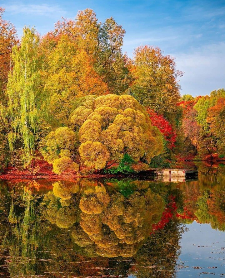 #autumn