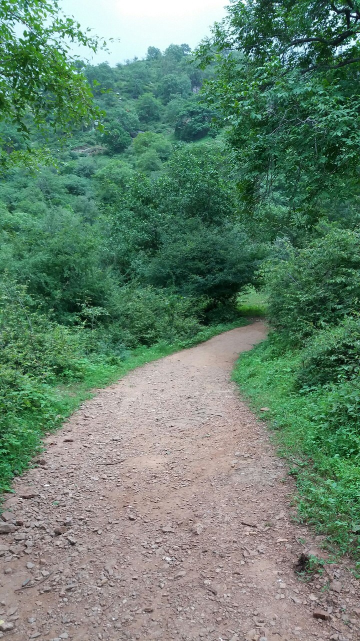 walkway between hill station
