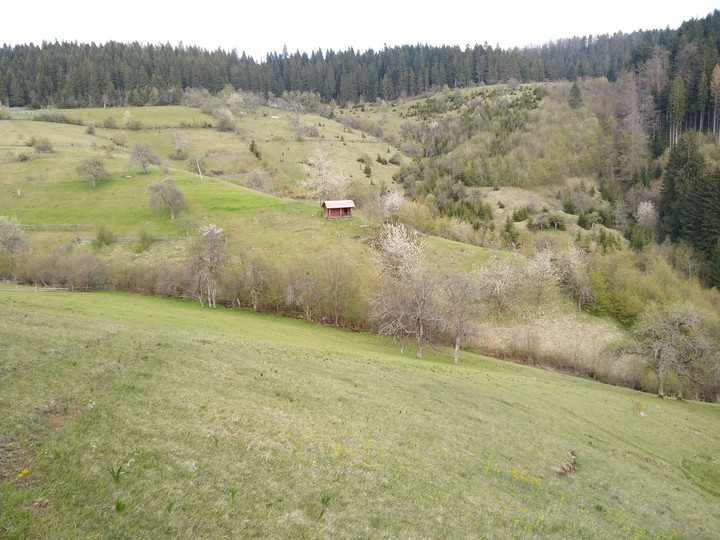 Nothing more than peace and nature