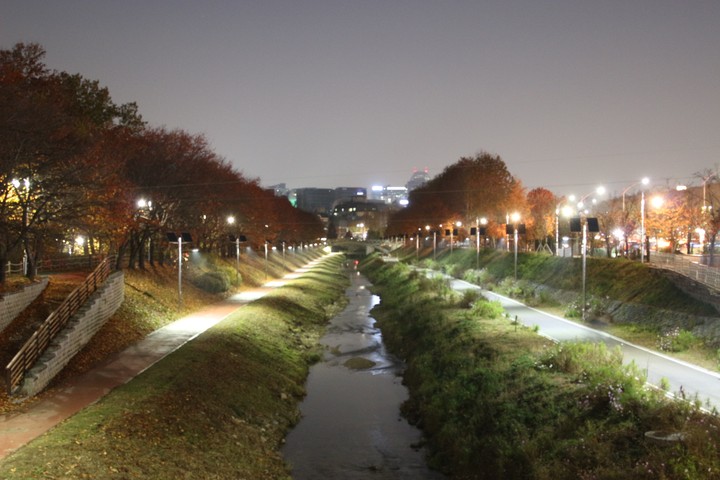 양재천
