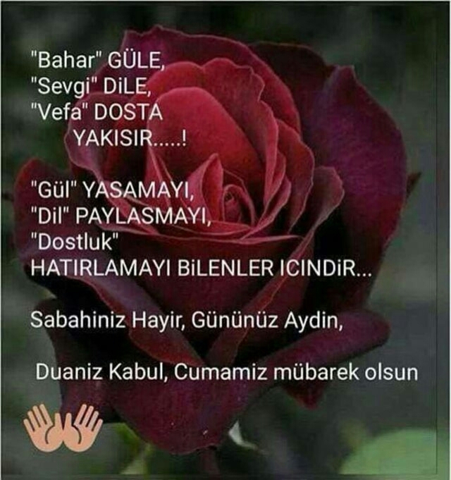 gul