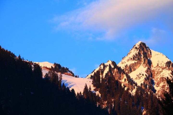 Mountain