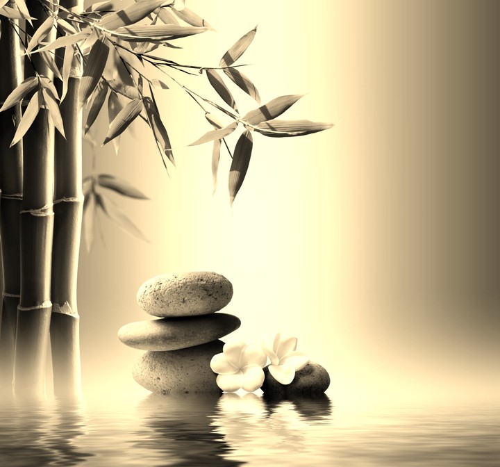 Bamboo