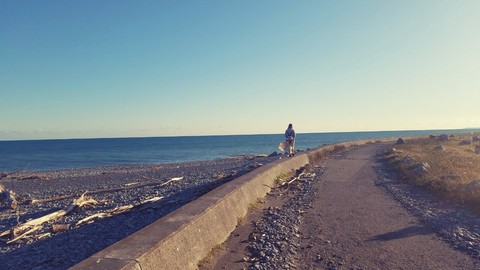 Along the coast