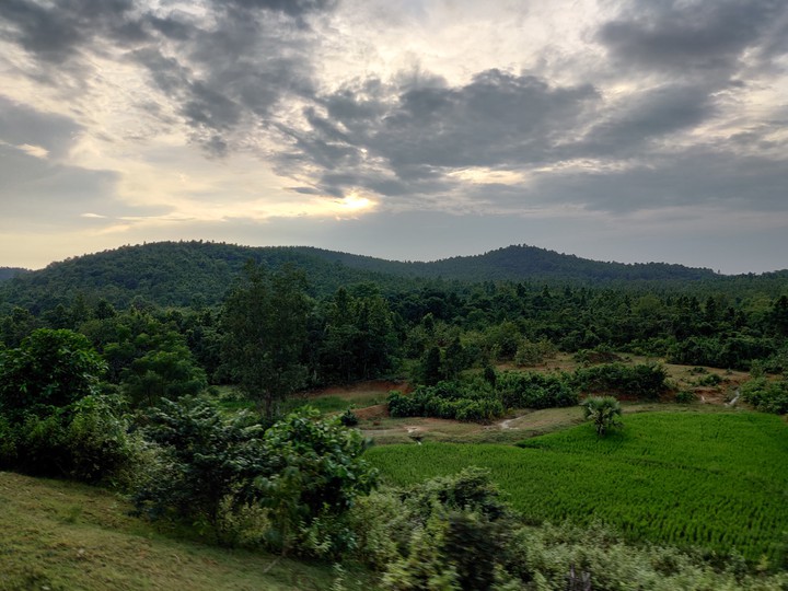 Lush Green Landscape by Atulya