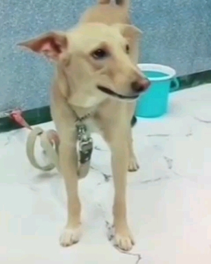 ? ? ? ? ?