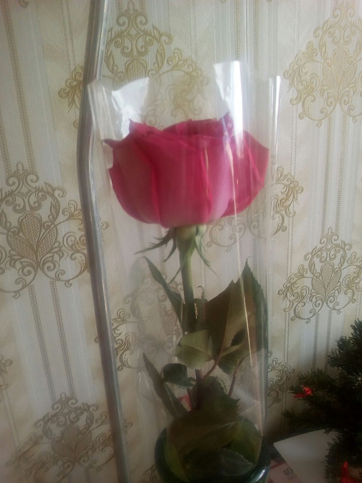 металл и нежность