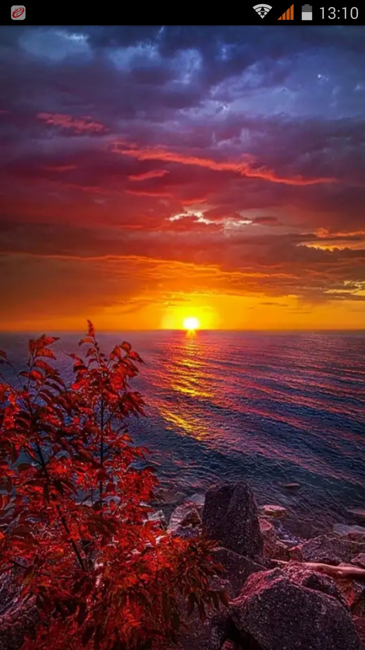Sunset
