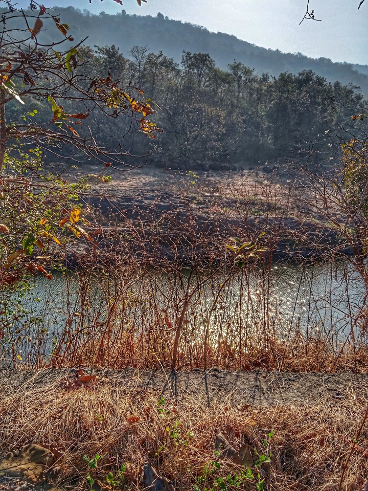 lake