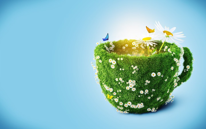 Cup landscape