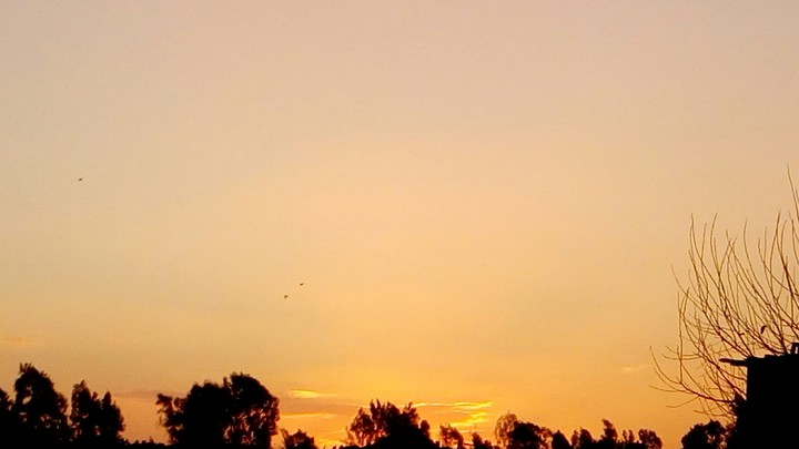 nature