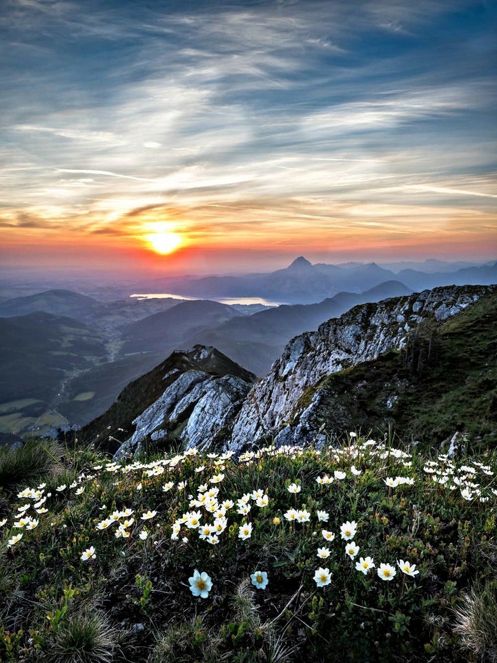 Nature
