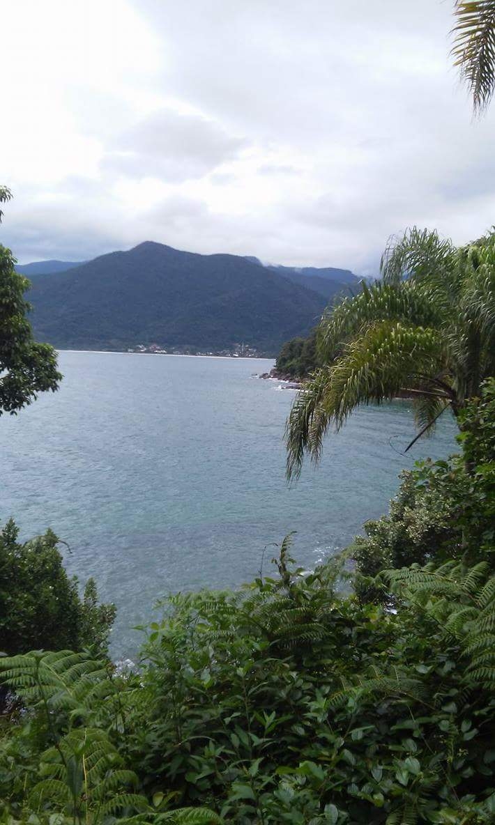 Mar e mata