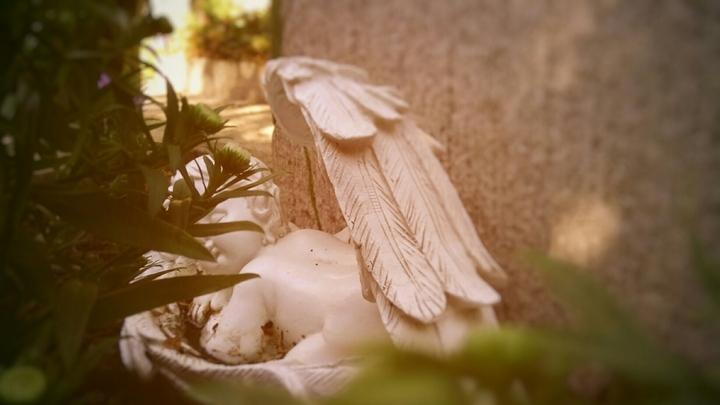 Der friedliche Engel
