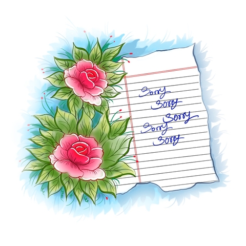 Sorry Notes