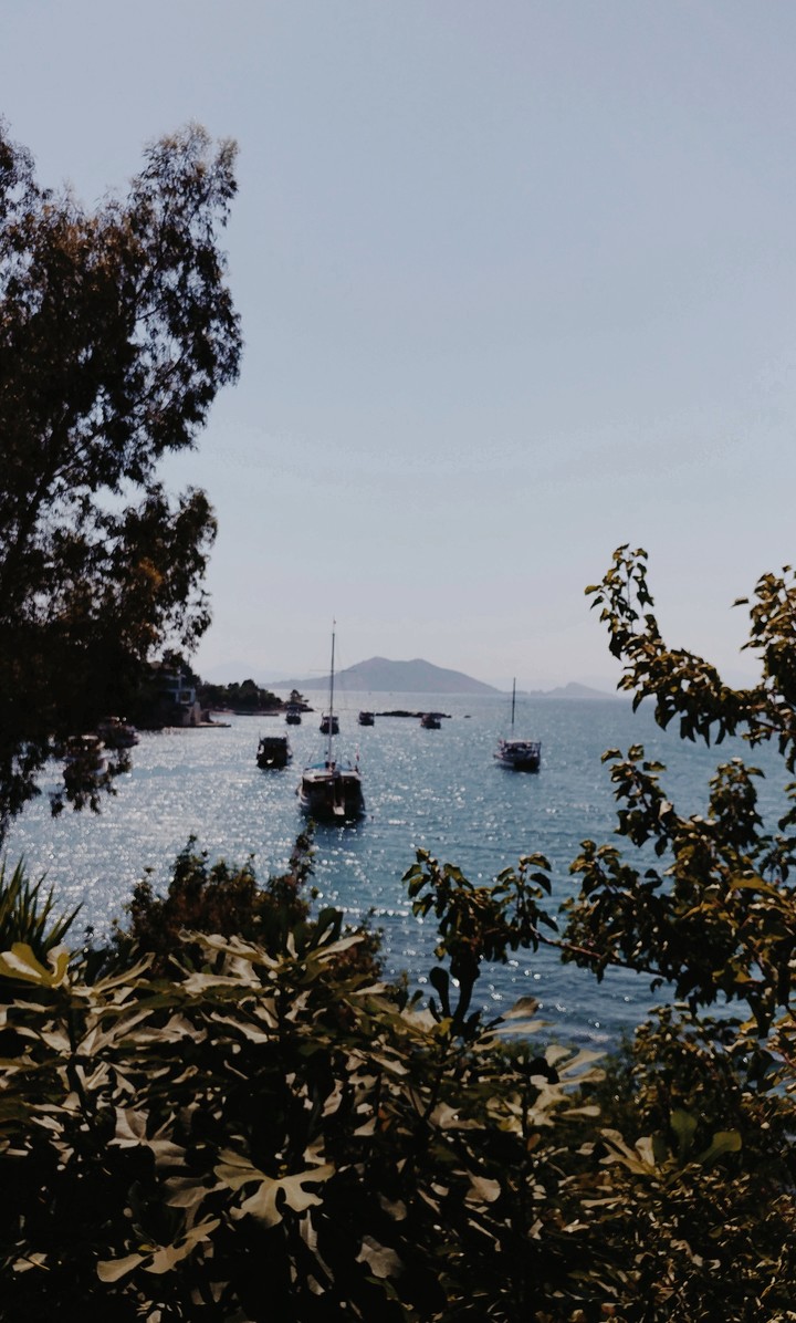 life and vacation