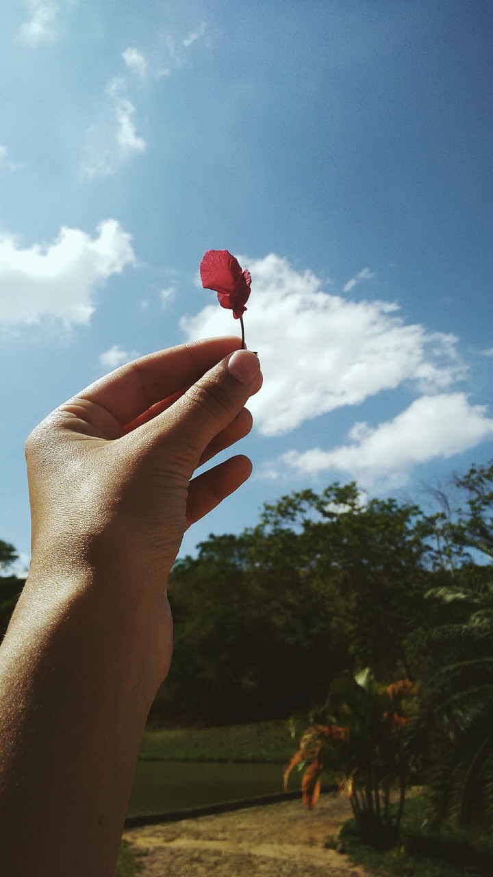 Florzinha