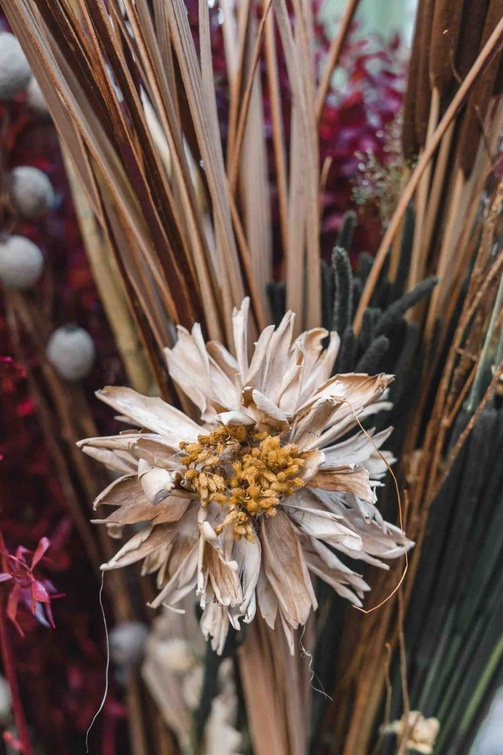 wild flowers