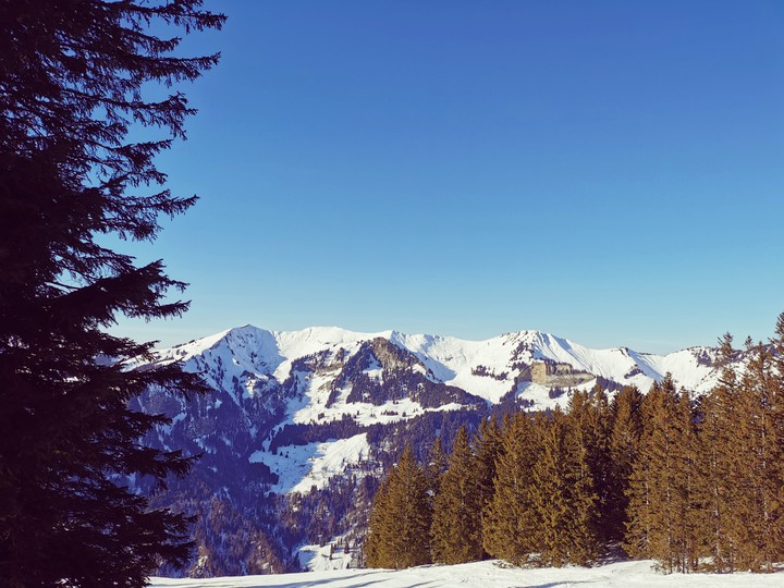 Austria Mountains