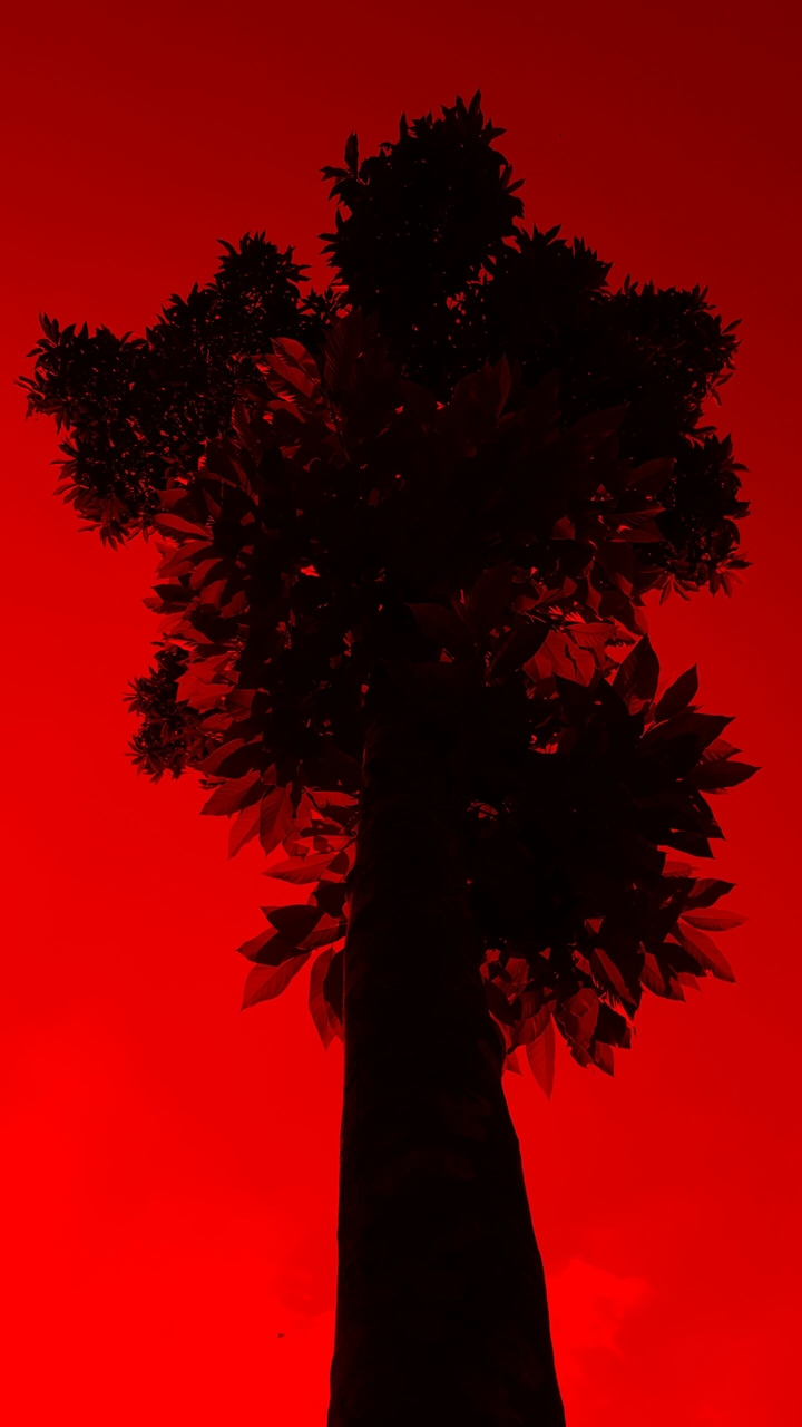 Red World