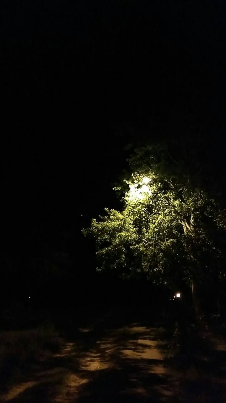 Light