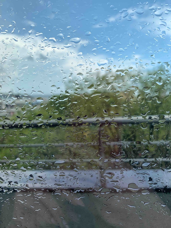 rain lovers