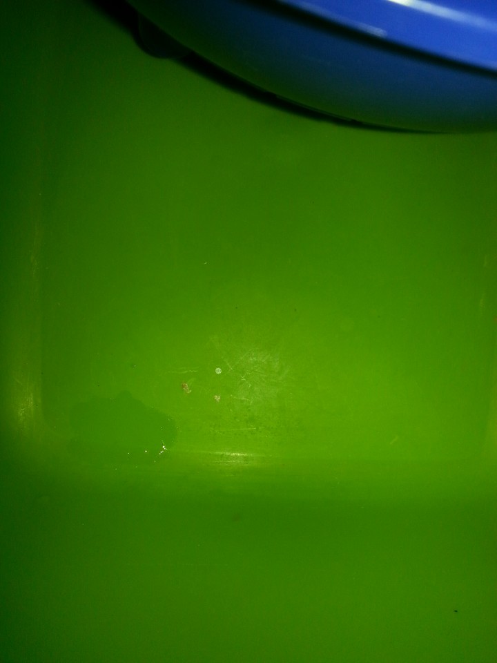 Green And Blue
