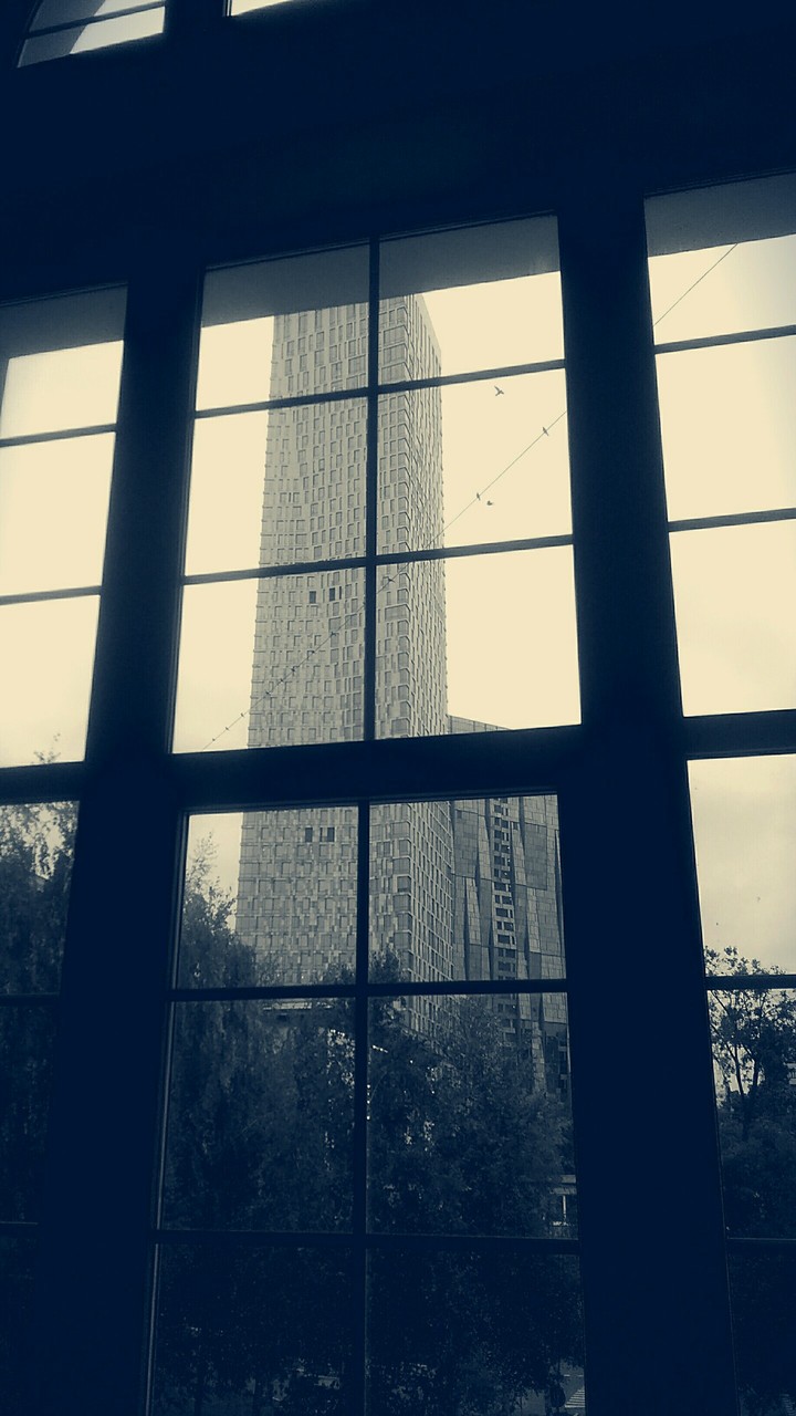 Looking through...