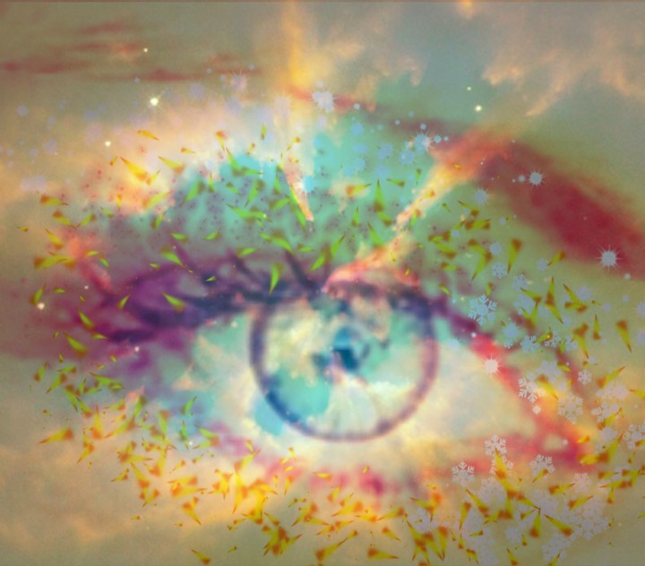 Eye