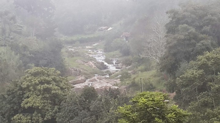 Nature