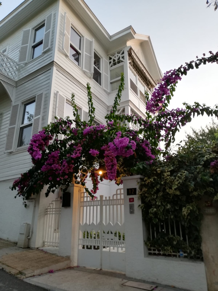 Kadrajımdan