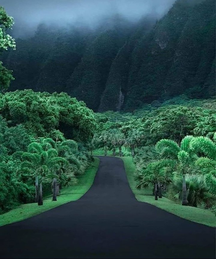 a road to heaven