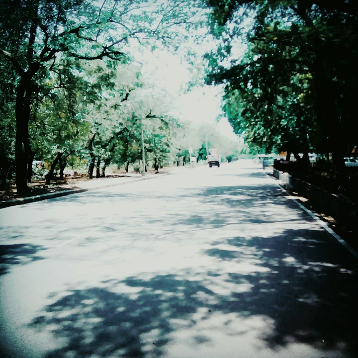 The road not Taken